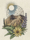 Mount Saint Helens with Wildflowers Print