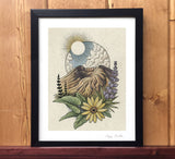 Mount Saint Helens with Wildflowers Print