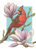 Cardinal with Magnolias Print