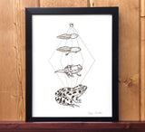 Metamorphosis Print