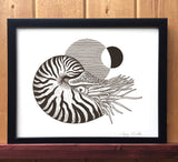 Nautilus Print