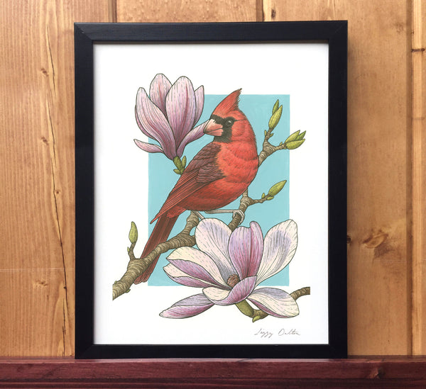 Cardinal with Magnolias Print