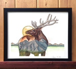 Mountain Elk Print