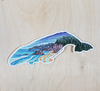 Northwest Whale Sticker